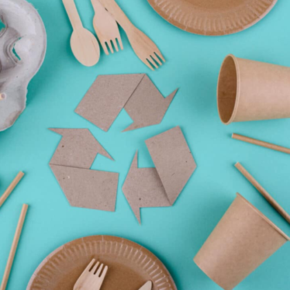Disposables Cups, Cutlery and Plates